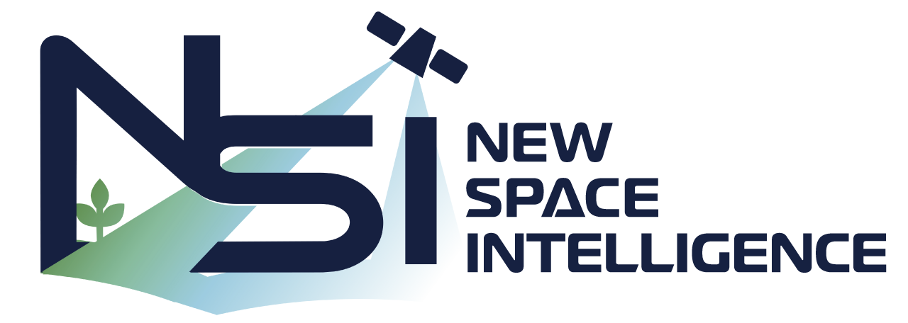株式会社New Space Intelligenceのロゴ